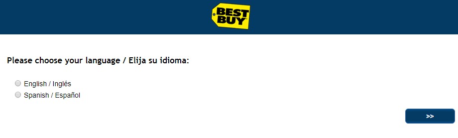 Best Buy Survey