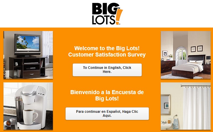 Big Lots Survey