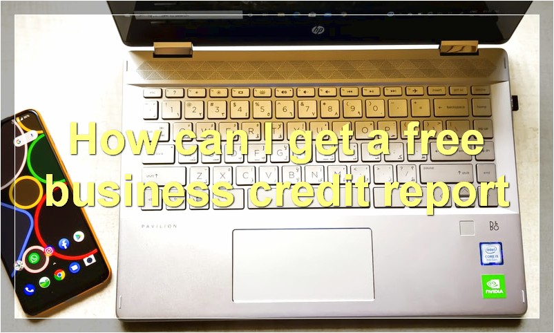 How can I get a free business credit report