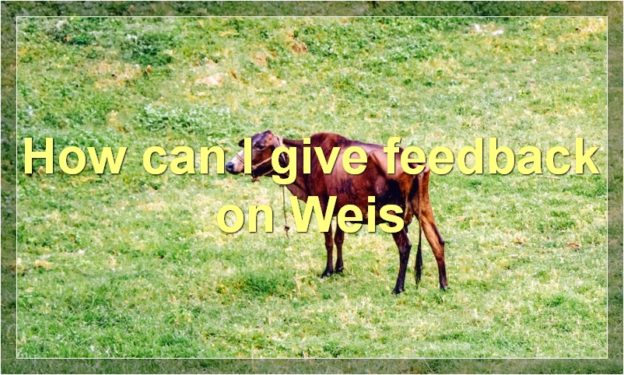 How can I give feedback on Weis