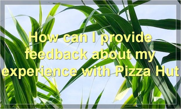 How can I provide feedback about my experience with Pizza Hut