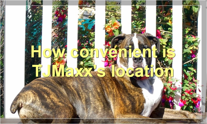 How convenient is TJMaxx's location