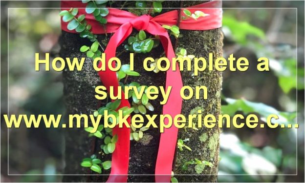 How do I complete a survey on www.mybkexperience.com