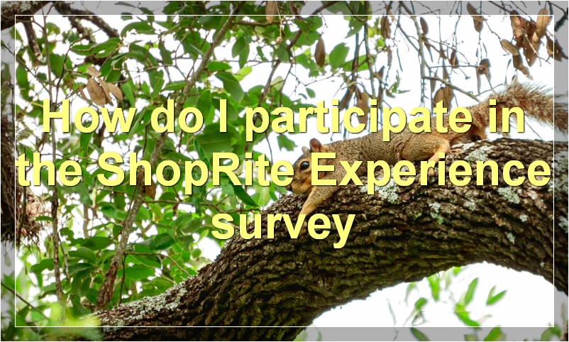 How do I participate in the ShopRite Experience survey