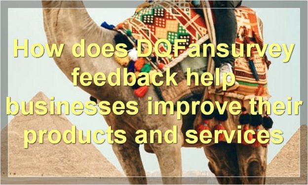 How does DQFansurvey feedback help businesses improve their products and services