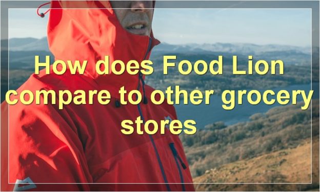 How does Food Lion compare to other grocery stores