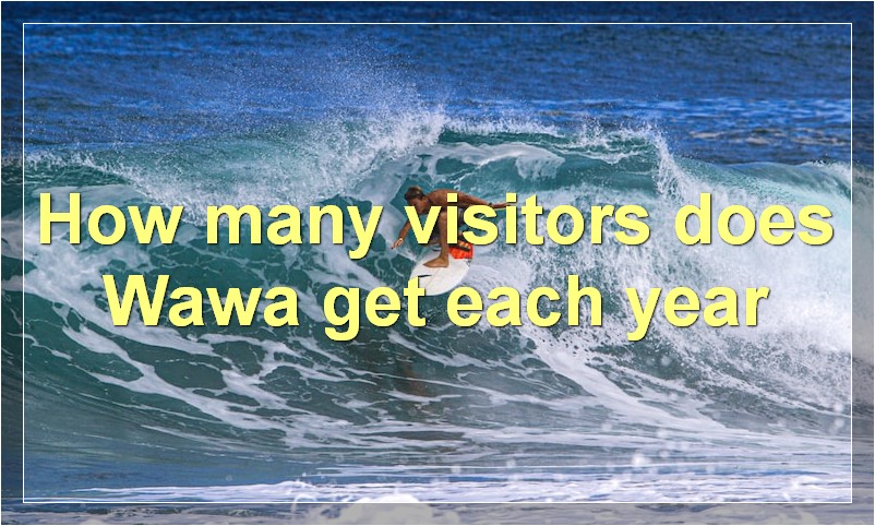 How many visitors does Wawa get each year