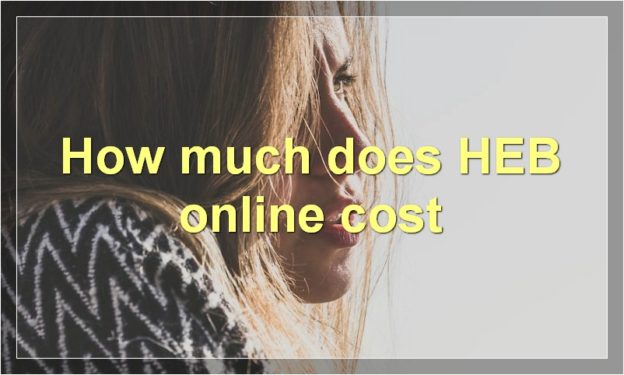 How much does HEB online cost