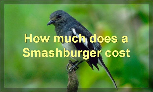 How much does a Smashburger cost