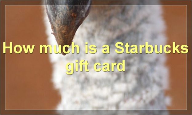 How much is a Starbucks gift card