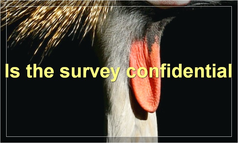 Is the survey confidential