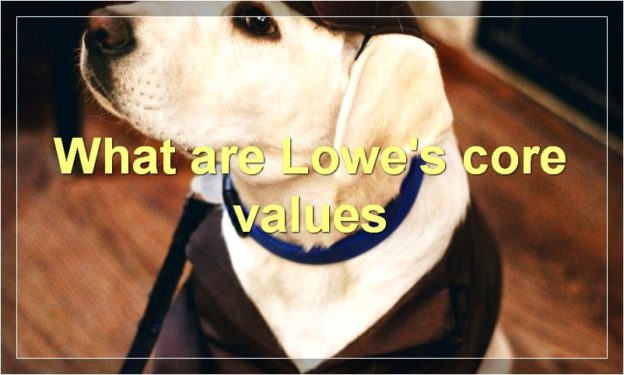 What are Lowe's core values