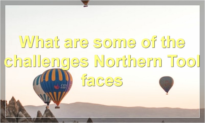 What are some of the challenges Northern Tool faces