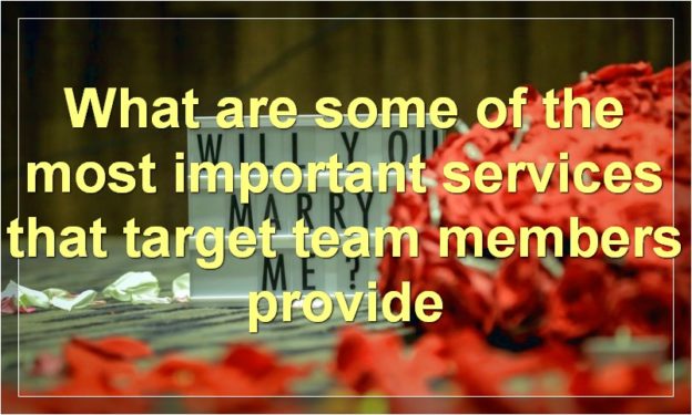 What are some of the most important services that target team members provide