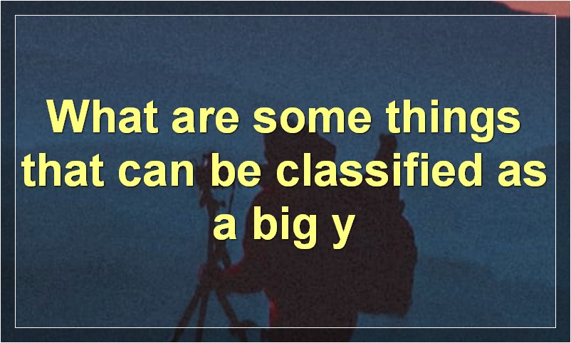 What are some things that can be classified as a big y