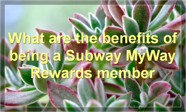 What are the benefits of being a Subway MyWay Rewards member