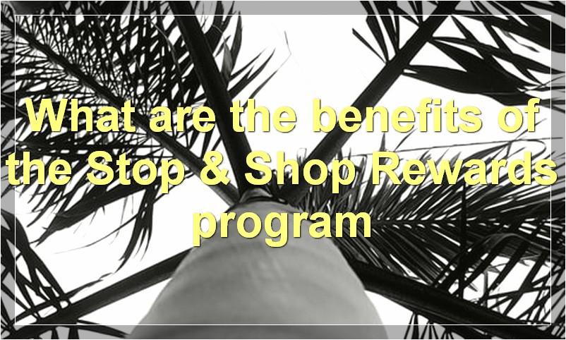 What are the benefits of the Stop & Shop Rewards program