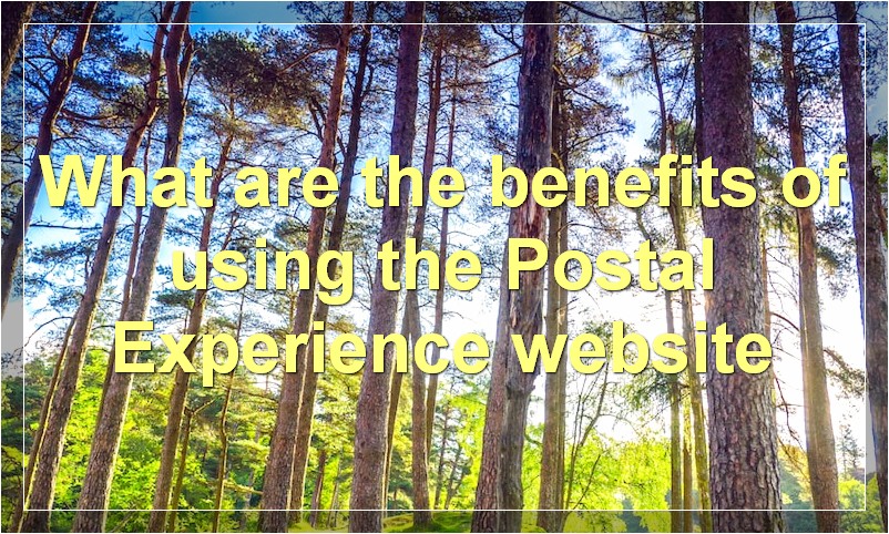 What are the benefits of using the Postal Experience website