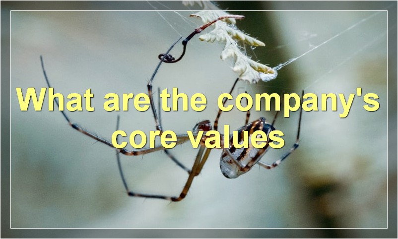 What are the company's core values