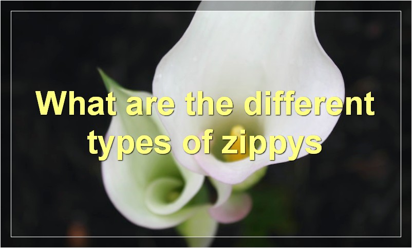 What are the different types of zippys