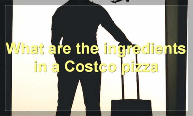 What are the ingredients in a Costco pizza