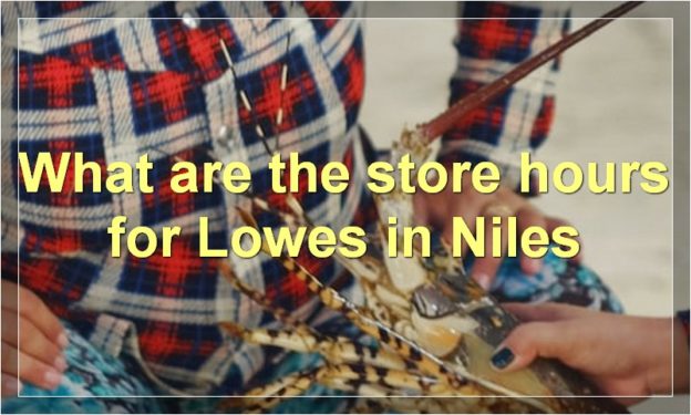 What are the store hours for Lowes in Niles