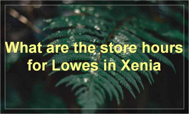 What are the store hours for Lowes in Xenia