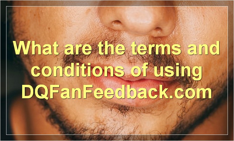 What are the terms and conditions of using DQFanFeedback.com
