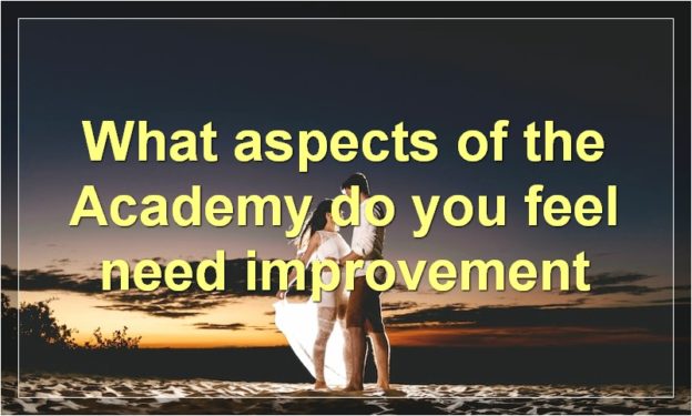What aspects of the Academy do you feel need improvement