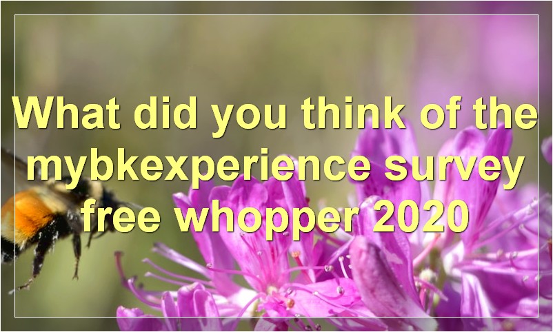 What did you think of the mybkexperience survey free whopper 2020