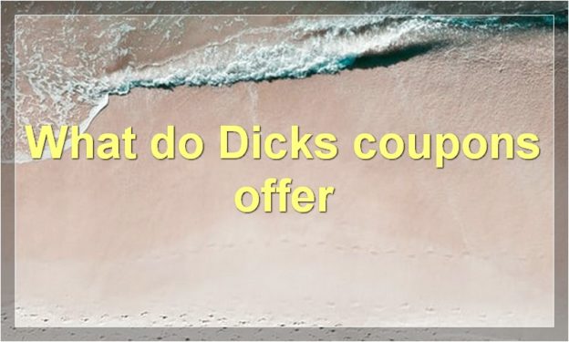 What do Dicks coupons offer
