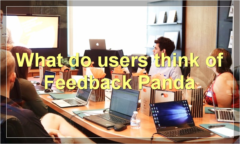 What do users think of Feedback Panda