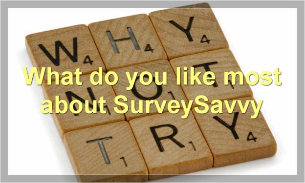 What do you like most about SurveySavvy