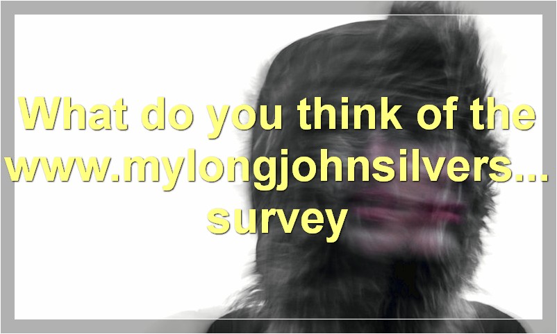 What do you think of the www.mylongjohnsilversexperience.com survey
