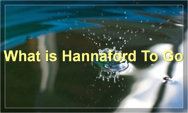 What is Hannaford To Go