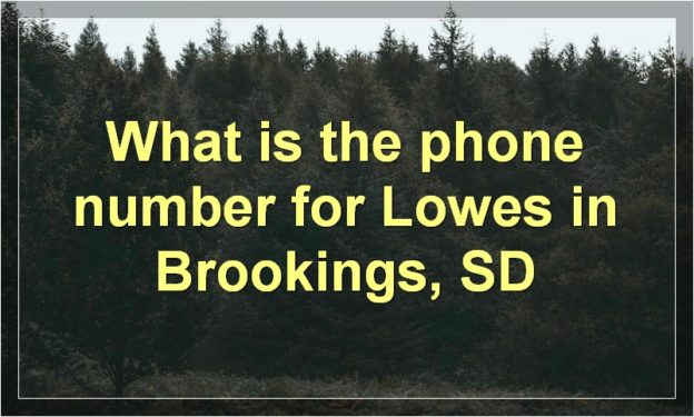 What is the phone number for Lowes in Henderson