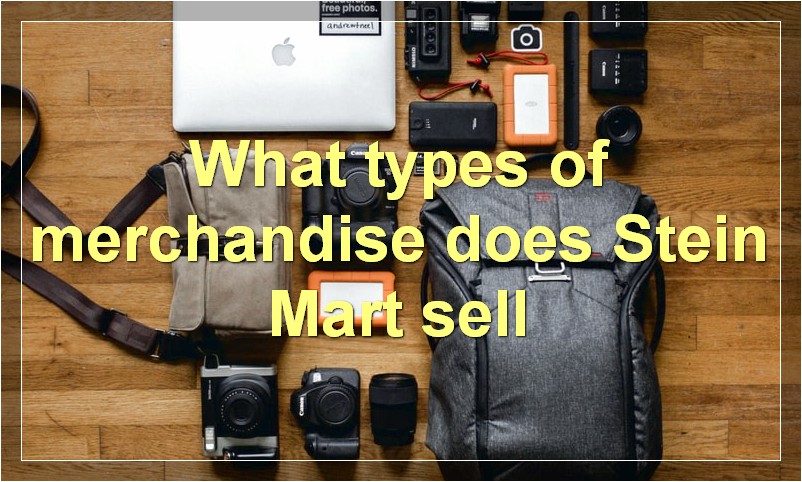 What types of merchandise does Stein Mart sell
