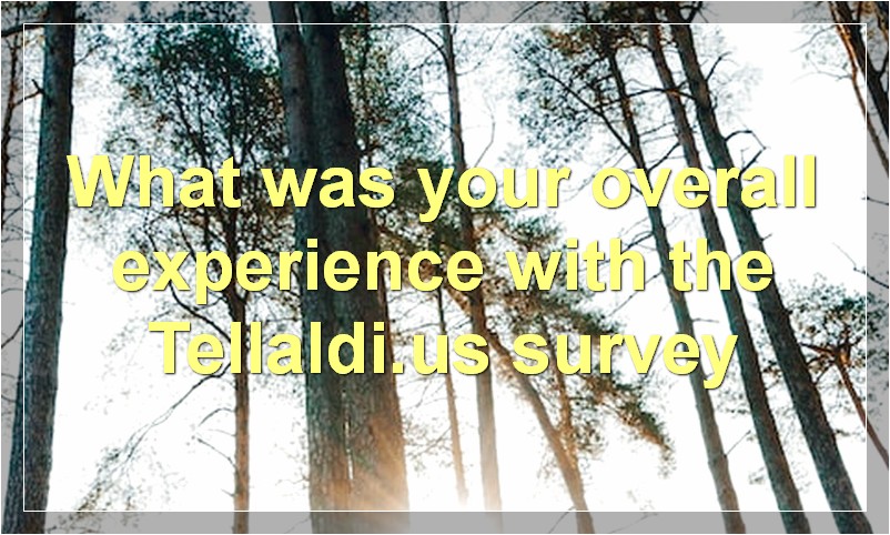 What was your overall experience with the Tellaldi.us survey
