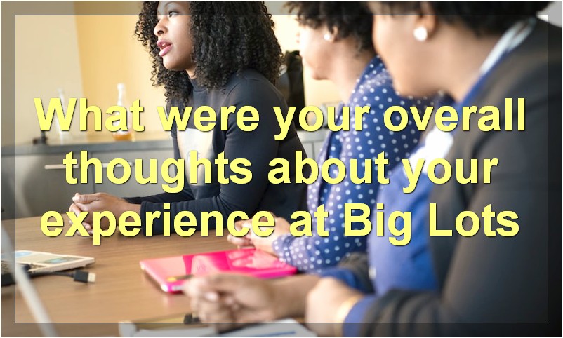 What were your overall thoughts about your experience at Big Lots