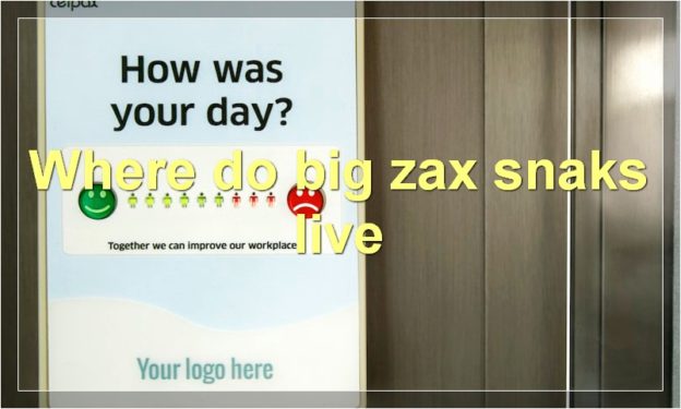 Where do big zax snaks live