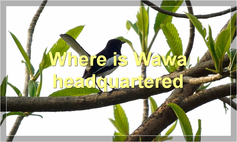 Where is Wawa headquartered