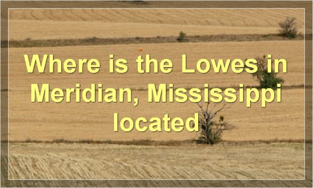 Where is the Lowes in Meridian