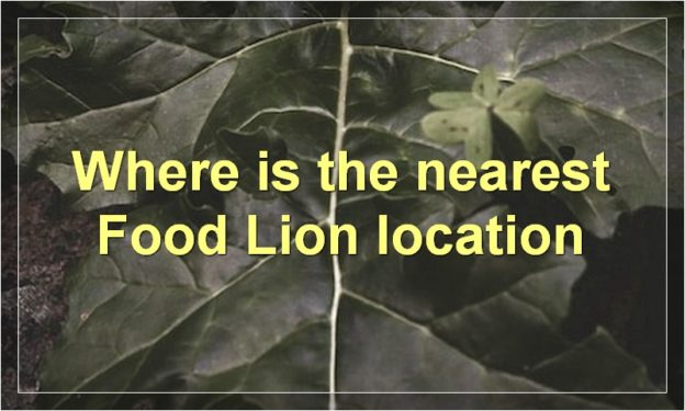 Where is the nearest Food Lion location