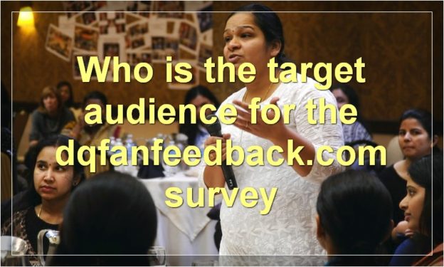 Who is the target audience for the dqfanfeedback.com survey